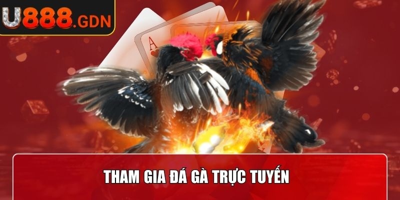 U888 | U 888 | Link Vào Trang Chủ Nhà Cái U888.COM Chính Thức 12/2025 29 Tham gia Đá Gà trực tuyến